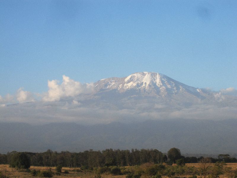 “kilimanjaro”